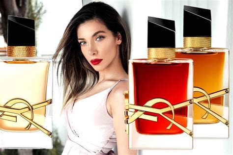 all ysl libre perfumes|libre perfume YSL model.